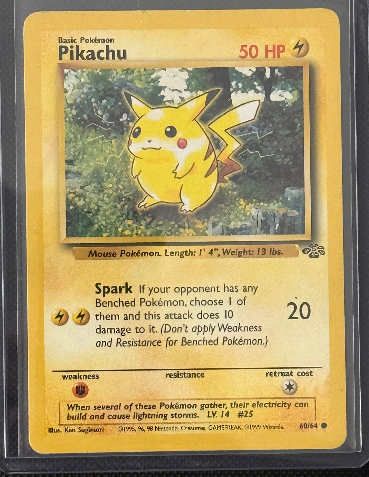 Actual english Pokémon cards — Pikachu 60/64, Eevee 51/64, Meowth 56/64, Mankey 55/64, Jigglypuff 54/64 — bundle photograph