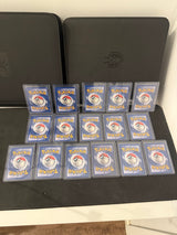Actual backs of the sixteen individually displayed English Jungle cards