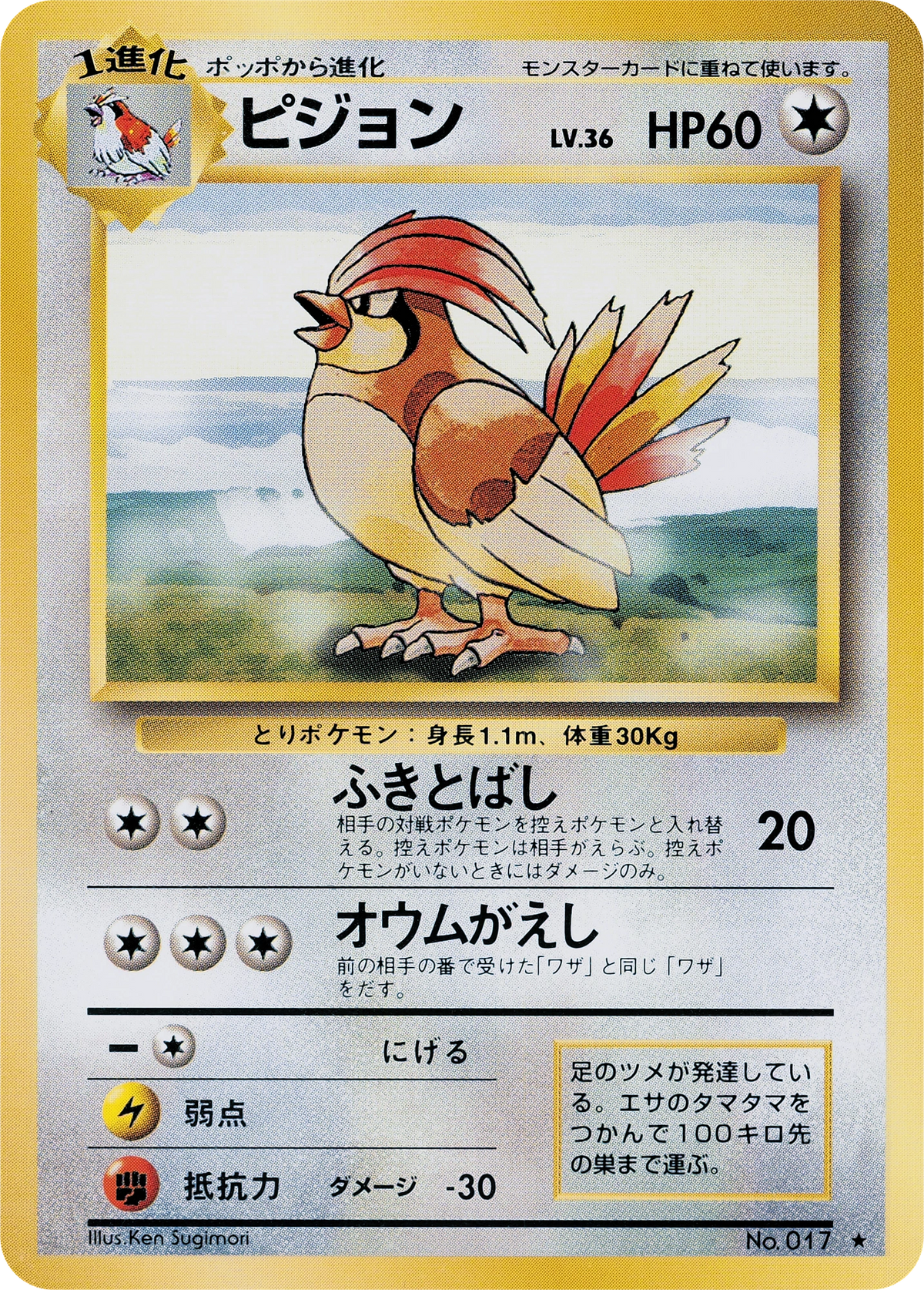 Pidgeotto No. 017 – Expansion Pack – Rare – Old Back (JP) — Japanese reference artwork from Art of Pokémon; not a photograph of the item