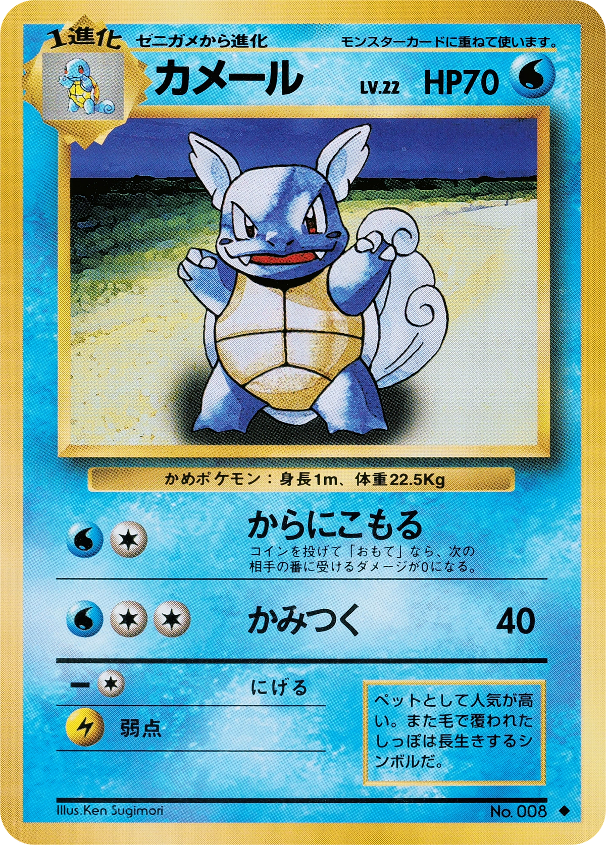 Wartortle No. 008 – Expansion Pack – Uncommon – Old Back (JP) — Japanese reference artwork from Art of Pokémon; not a photograph of the item